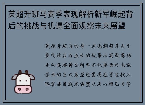 英超升班马赛季表现解析新军崛起背后的挑战与机遇全面观察未来展望 英超升班马赛季表现解析新军崛起背后的挑战与机遇全面观察未来展望